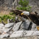 Why 75% of Money Judgments Go Uncollected in New York: A Warner & Scheuerman Guide to What the Other 25% Do Differently